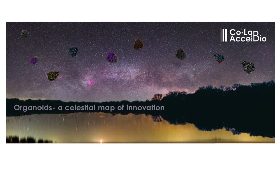 Organoids in Drug Discovery- a celestial map of Innovation